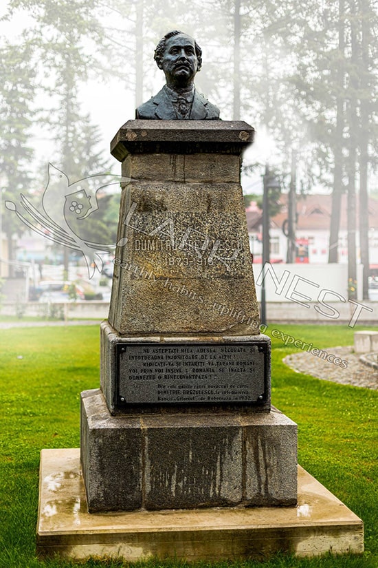 Donate to Iulian Bocîi